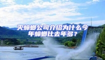 滅蟑螂公司介紹為什么今年蟑螂比去年多?