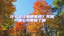 什么會讓蟑螂害怕?滅蟑螂公司帶你了解