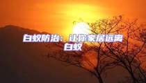 白蟻防治:讓你家居遠離白蟻