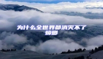 為什么全世界都消滅不了蟑螂