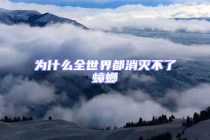 為什么全世界都消滅不了蟑螂