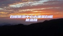 白蟻防治中心古建筑白蟻防治技