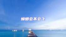 蟑螂會不會飛