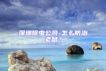深圳除蟲公司-怎么防治老鼠？
