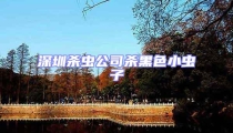 深圳殺蟲公司殺黑色小蟲子