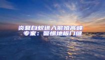 炎夏白蟻進入繁殖高峰 專家:警惕地板門縫