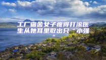 工廠宿舍女子疼得打滾醫生從她耳里取出只“小強”