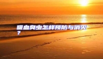 吸血臭蟲怎樣預防與消滅?