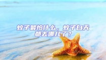蚊子最怕什么,蚊子白天都去哪兒了?