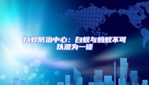 白蟻防治中心:白蟻與螞蟻不可以混為一談