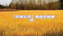 【滅蟑公司】家庭滅蟑要領