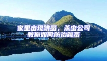 家里出現(xiàn)跳蚤,殺蟲公司教你如何防治跳蚤