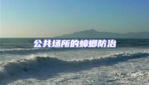 公共場所的蟑螂防治