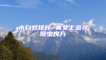 木白蟻擾民 黃女士急尋除蟲良方