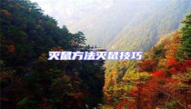 滅鼠方法滅鼠技巧