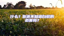 什么?你還不知道白蟻的危害嗎?