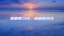 蟑螂的習性,蟑螂的特性