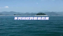 不同螞蟻的普遍危害
