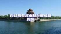 白蟻擁有將木材分解成糖的酶