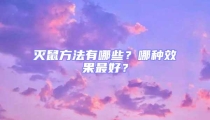 滅鼠方法有哪些?哪種效果最好?