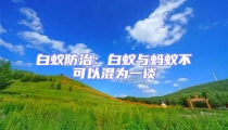 白蟻防治:白蟻與螞蟻不可以混為一談