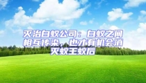 滅治白蟻公司:白蟻之間相互傳染,也才有機會消滅蟻王蟻后