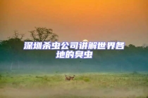 深圳殺蟲公司講解世界各地的臭蟲