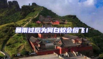 暴雨過后為何白蟻會紛飛!