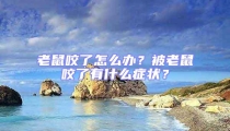 老鼠咬了怎么辦?被老鼠咬了有什么癥狀?