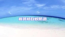 新裝修白蟻防治