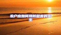 農(nóng)戶應(yīng)如何預(yù)防鼠害的發(fā)生