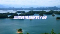 三招預防白蟻的入侵