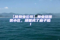 【除臭蟲公司】臭蟲組團襲小區，墻壁成了麻子臉！