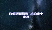 白蟻活躍期到 小心家中家具