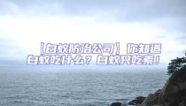 【白蟻防治公司】你知道白蟻吃什么?白蟻只吃素!