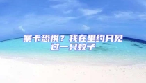 寨卡恐懼?我在里約只見過一只蚊子