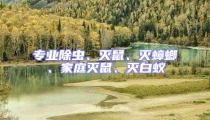 專業除蟲、滅鼠、滅蟑螂、家庭滅鼠、滅白蟻
