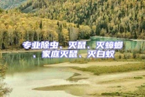 專業除蟲、滅鼠、滅蟑螂、家庭滅鼠、滅白蟻