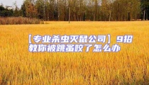 【專業殺蟲滅鼠公司】9招教你被跳蚤咬了怎么辦