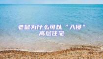 老鼠為什么可以“入侵”高層住宅