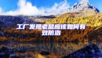 工廠發現老鼠應該如何有效防治