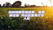 后廚蟑螂蒼蠅亂爬、餐具清潔差 坪山這家餐廳令人憂