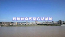 民間新奇滅鼠方法集錦