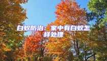 白蟻防治:家中有白蟻怎樣處理