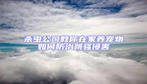 殺蟲公司教你在家養寵物如何防治跳騷侵害