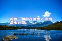 蟑螂一般藏在哪里？深圳殺蟲(chóng)公司