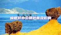 蟑螂對辦公樓危害及影響