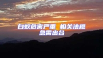 白蟻危害嚴(yán)重 相關(guān)法規(guī)急需出臺(tái)