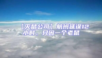【滅鼠公司】航班延誤12小時,只因一個老鼠