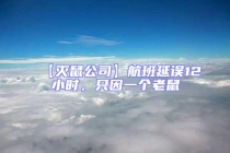 【滅鼠公司】航班延誤12小時，只因一個老鼠